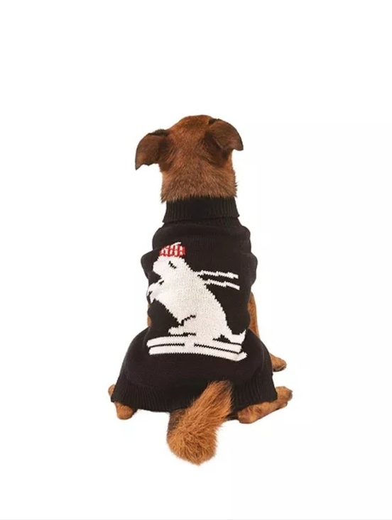 shaya pet Other - NWT Shaya PetsSkiing Dog Pet Sweater